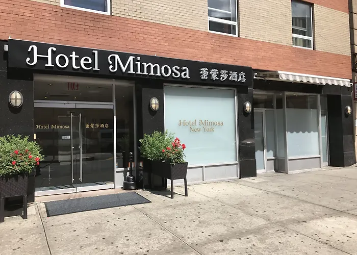 Hôtel accueillant les animaux: Hotel Mimosa