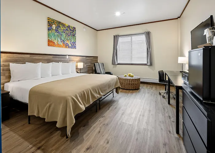 Günstiges Hotel: Highbridge Hotel